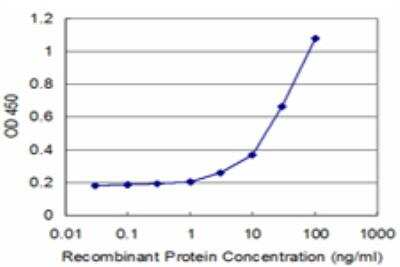 ELISA: HLA DPA Antibody (1E3) [H00003113-M03]