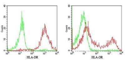 Flow Cytometry: HLA-DR Antibody (L243) - Azide and BSA Free [NBP2-80773]