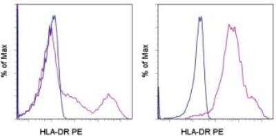 Western Blot: HLA-DR Antibody (LN-3) [NBP2-45310]