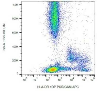 Flow Cytometry: HLA DR/DP Antibody (HL-38) - BSA Free [NB500-406]