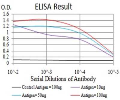 ELISA: HLA DRA Antibody (1C11A5) - BSA Free [NBP2-61863]