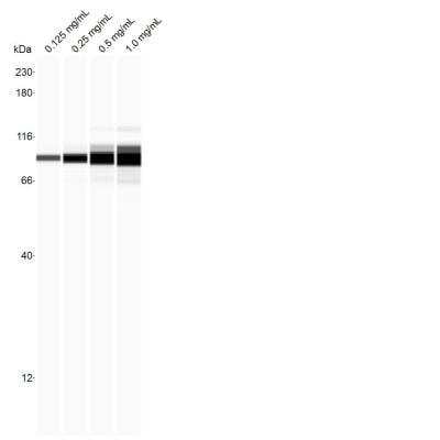 Simple Western: HMG-CoA Reductase/HMGCR Antibody (JF0981) [NBP2-66888]