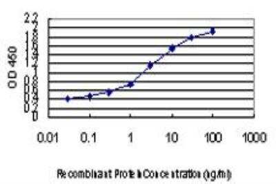 ELISA: HNF-3 beta/FoxA2 Antibody (1C7) [H00003170-M10]