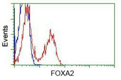 Flow Cytometry: HNF-3 beta/FoxA2 Antibody (OTI3C10) [NBP2-02088]
