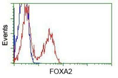 Flow Cytometry: HNF-3 beta/FoxA2 Antibody (OTI3C10) - Azide and BSA Free [NBP2-70904]