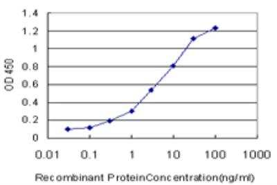 ELISA: HOXD11 Antibody (5G4) [H00003237-M03]