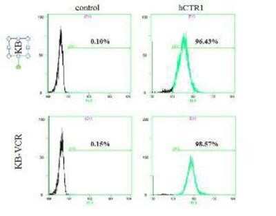Flow Cytometry: HPa1 Antibody (DHIC2-2C12) [NBP1-18949]