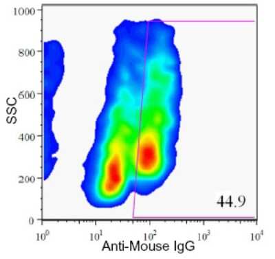 Flow Cytometry: HPa2 Antibody (DHIC2-2B4) [NBP1-18950]