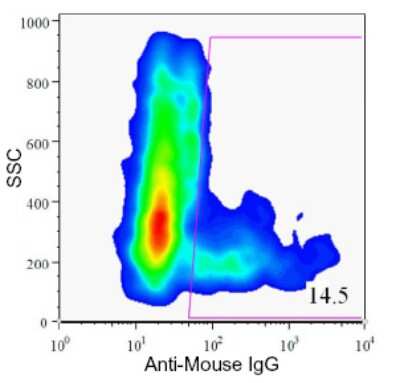 Flow Cytometry: HPd1 Antibody (DHIC2-4A10) [NBP1-18953]