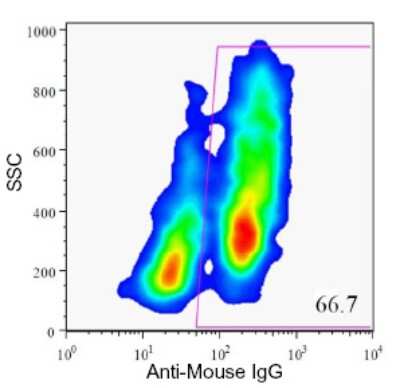 Flow Cytometry: HPi4 Antibody (HIC1-5F10) [NBP1-18948]