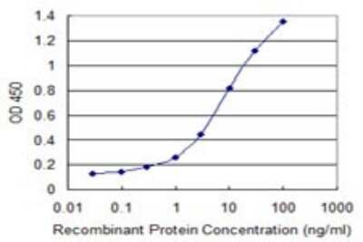ELISA: HRD1 Antibody (4H4) [H00084447-M01]