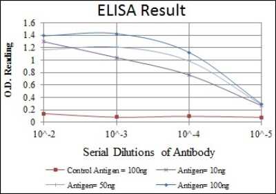 ELISA: HSP27 Antibody (5D7) - BSA Free [NBP2-37599]