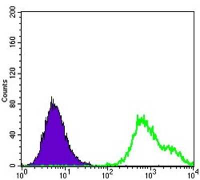 Flow Cytometry: HSP27 Antibody (5D7) - BSA Free [NBP2-37599]