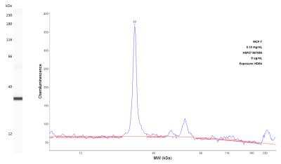 Simple Western: HSP27 Antibody (967050) [MAB1580]