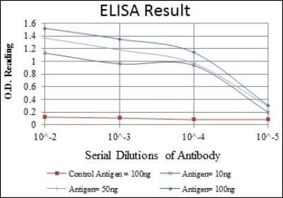 ELISA: HSP60 Antibody (3G8) - BSA Free [NBP2-37617]