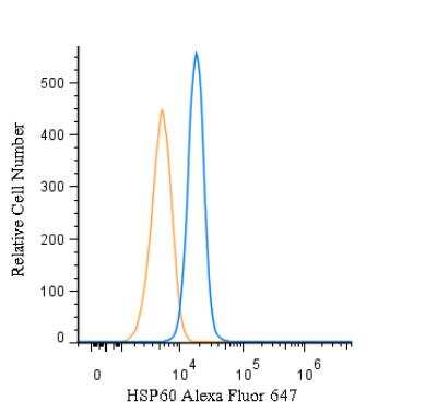 Flow (Intracellular): HSP60 Antibody - BSA Free [NBP1-77396]