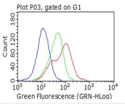 Flow Cytometry: HSP70/HSPA1A Antibody (OTI3G9) [NBP2-02190]