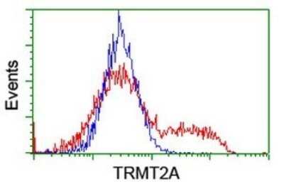 Flow Cytometry: HTF9C Antibody (OTI1C3) [NBP2-46015]