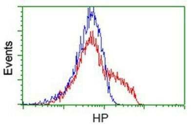 Flow Cytometry: Haptoglobin Antibody (OTI4H5) [NBP2-03008]
