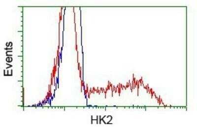 Flow Cytometry: Hexokinase 2 Antibody (OTI4C5) - Azide and BSA Free [NBP2-70891]
