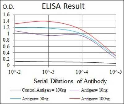 ELISA: Hexosaminidase A/HEXA Antibody (3F10) - BSA Free [NBP2-37505]