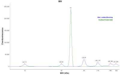 Simple Western: His Tag Antibody (3D5)ChimericAzide and BSA Free [NBP2-52637]