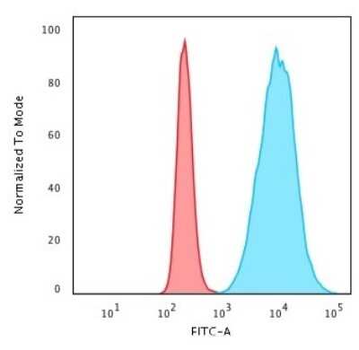Flow Cytometry: Histone H1 Antibody (HH1/957) [NBP2-45184]