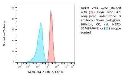 Flow Cytometry: Histone H3 Antibody (1B1-B2) - Azide and BSA Free [NBP2-80770]