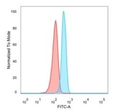 Flow Cytometry: Homez Antibody (PCRP-HOMEZ-1B5) - Azide and BSA Free [NBP3-08303]