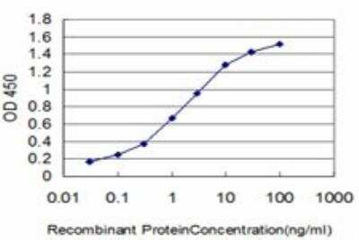 ELISA: HspA1B Antibody (2D11) [H00003304-M05]