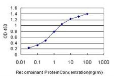 ELISA: HspA1B Antibody (3B7) [H00003304-M02]