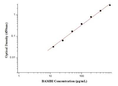 ELISA: Human BAMBI/NMA ELISA Kit (Colorimetric) [NBP2-80328]