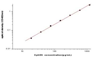 ELISA: Human EphB6 ELISA Kit (Colorimetric) [NBP2-80319]