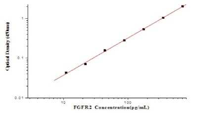 ELISA: Human FGFR2 ELISA Kit (Colorimetric) [NBP2-80324]