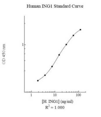 ELISA: Human ING1 ELISA Kit (Colorimetric) [NBP3-18726]