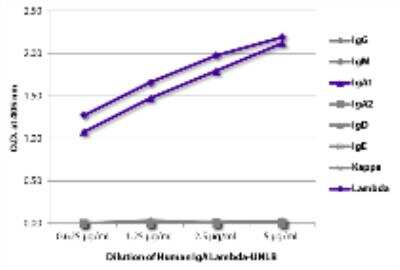 ELISA: Human IgA Lambda Isotype Control [NBP3-06874]