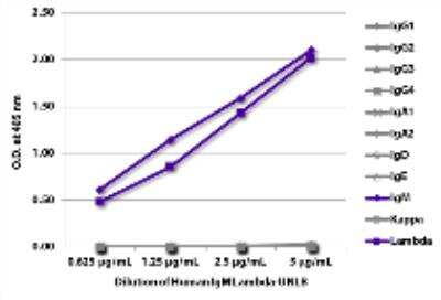 ELISA: Human IgM Lambda Isotype Control [NBP3-06875]