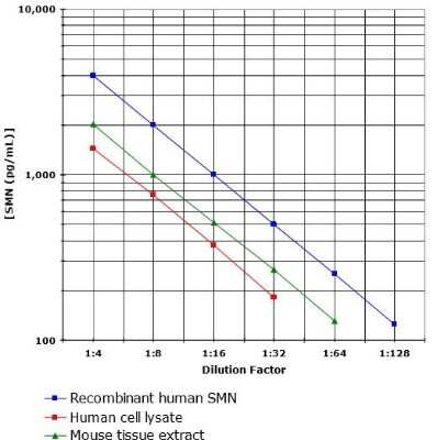 ELISA: Human, Mouse SMN ELISA Kit (Colorimetric) [NBP2-62175]
