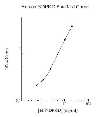 ELISA: Human NME4 ELISA Kit (Colorimetric) [NBP2-60583]