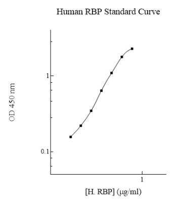 ELISA: Human Retinol Binding Protein RBP ELISA Kit (Colorimetric) [NBP2-60487]