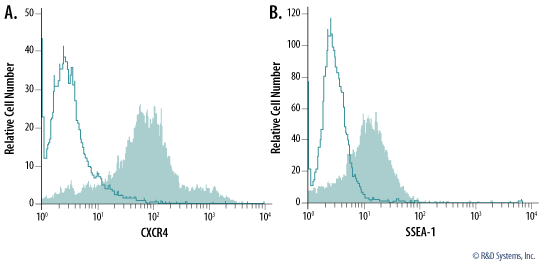 Detection of Neural Progenitor Markers CXCR4 and SSEA-1 by Flow Cytometry.