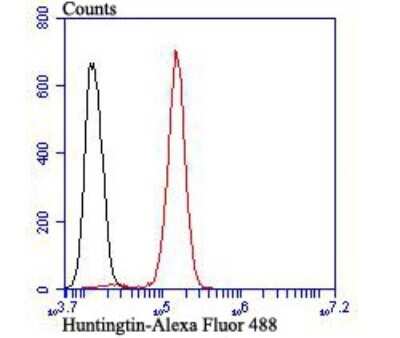 Flow Cytometry: Huntingtin Antibody (JB89-34) [NBP2-75531]