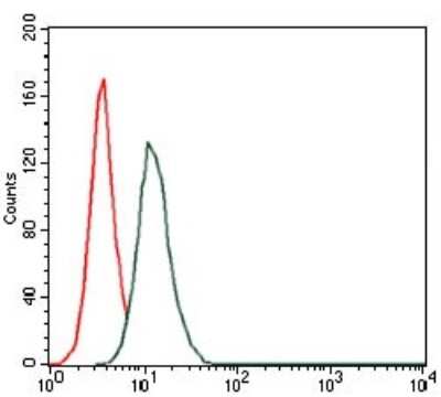 Flow Cytometry: Hyaluronan Synthase 3/HAS3 Antibody (3C9) - BSA Free [NBP2-37494]