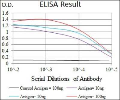 ELISA: Hyaluronan synthase 2 Antibody (4E7) - BSA Free [NBP2-37446]