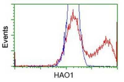 Flow Cytometry: Hydroxyacid Oxidase-1/HAO-1 Antibody (OTI5C3) - Azide and BSA Free [NBP2-71954]