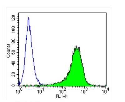 Flow Cytometry: ICAM-1/CD54 Antibody (1A29) [NBP2-22541]