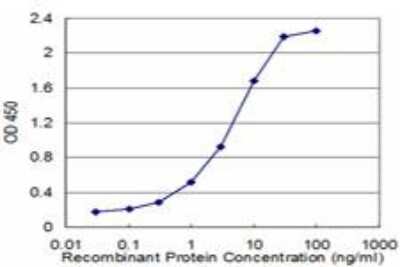 ELISA: ID1 Antibody (3A9) [H00003397-M10]