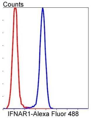 Flow Cytometry: IFN-alpha/beta R1 Antibody (SR45-08) [NBP2-67339]