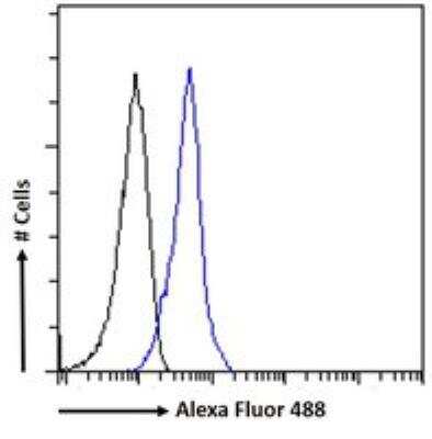 Flow Cytometry: IFN-alpha/beta R2 Antibody [NBP1-20934]
