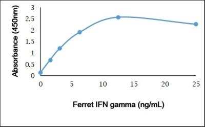 ELISA: IFN-gamma Antibody [NBP3-11361]